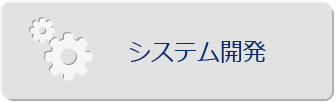 システム開発